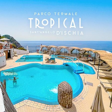 Bed and Breakfast Parco Termale Tropical Іскія Екстер'єр фото